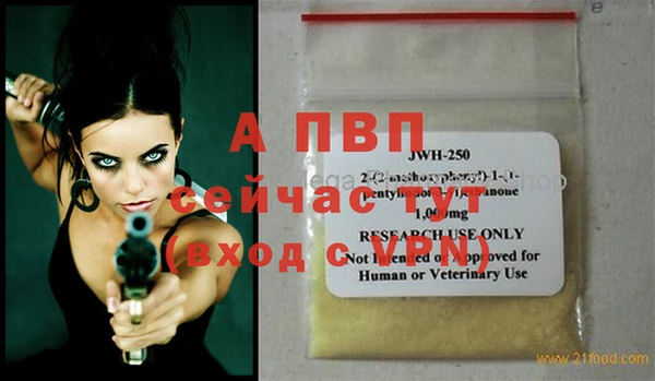 спиды Бородино