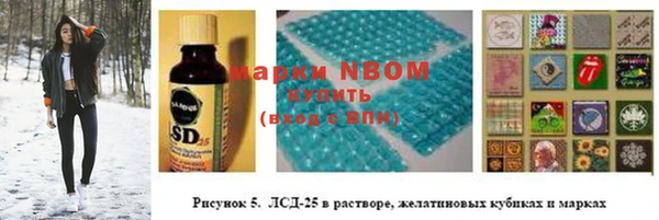 амф Верхний Тагил