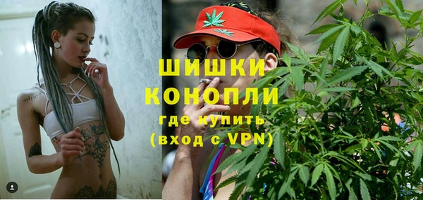 спиды Бородино