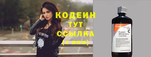 спиды Бородино