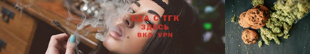 спиды Бородино
