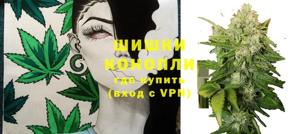 спиды Бородино