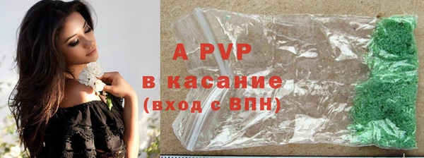 амф Верхний Тагил