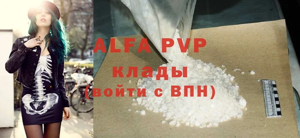 спиды Бородино