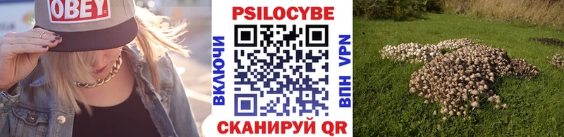 Галлюциногенные грибы Cubensis  Северобайкальск 