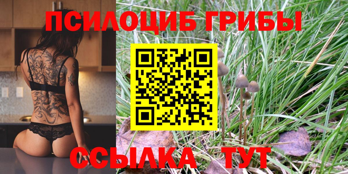 Галлюциногенные грибы MAGIC MUSHROOMS  Вход с VPN  Северобайкальск 