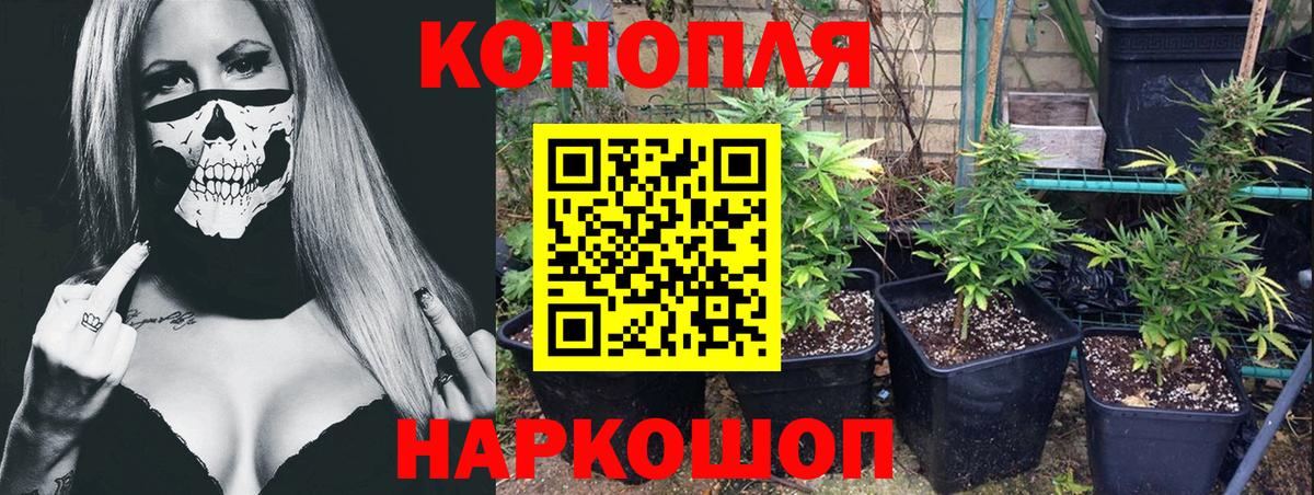 Бошки марихуана SATIVA & INDICA Северобайкальск
